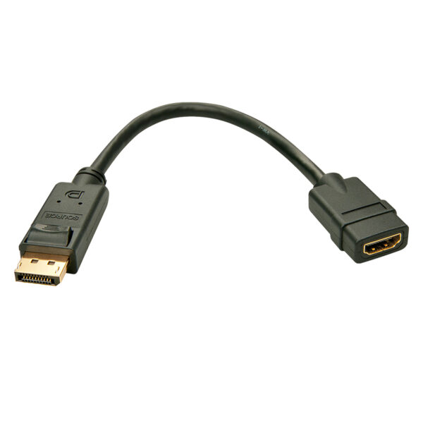 DISPLAY PORT TO HDMI CONVERTER